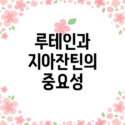 루테인과 지아잔틴의 중요성