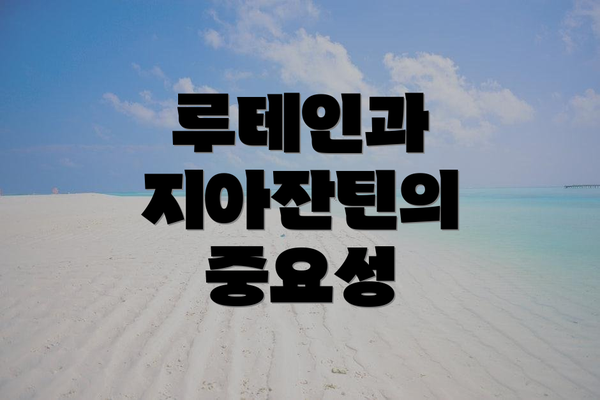 루테인과 지아잔틴의 중요성