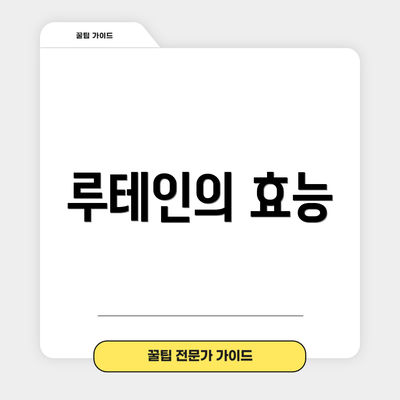 루테인의 효능