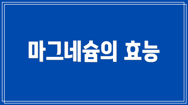 마그네슘의 효능