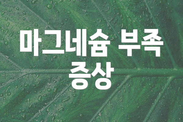 마그네슘 부족 증상