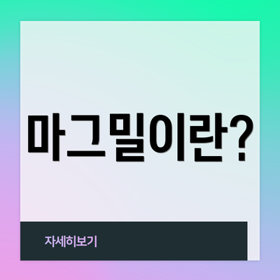 마그밀이란?