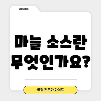 마늘 소스란 무엇인가요?