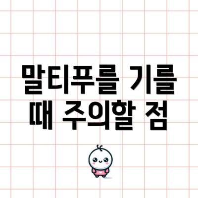 말티푸를 기를 때 주의할 점
