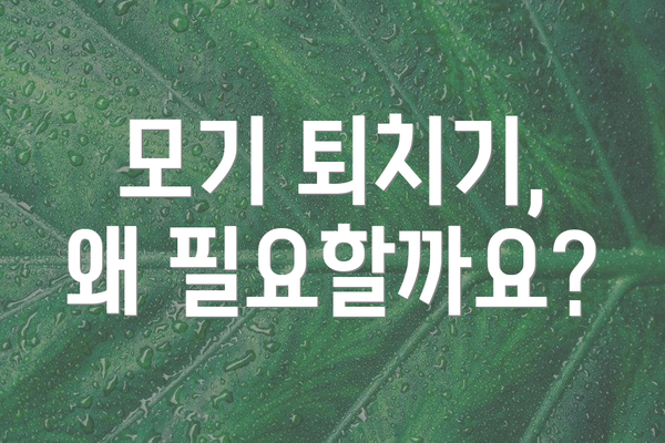 모기 퇴치기, 왜 필요할까요?
