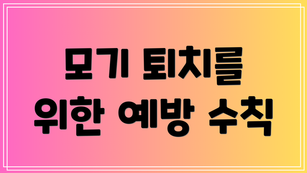 모기 퇴치를 위한 예방 수칙