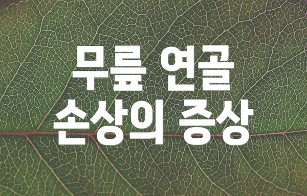 무릎 연골 손상의 증상