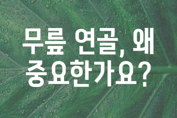 무릎 연골, 왜 중요한가요?