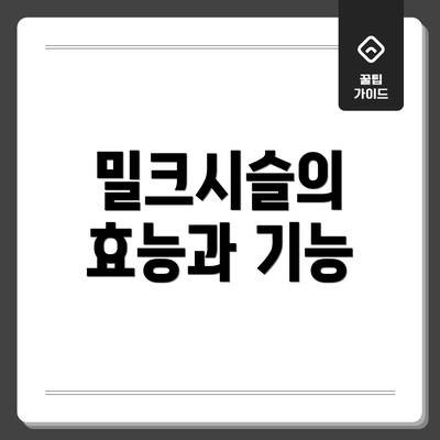 밀크시슬의 효능과 기능