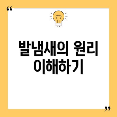 발냄새의 원리 이해하기