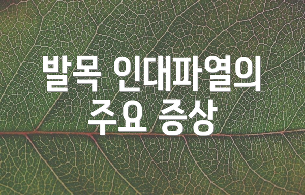 발목 인대파열의 주요 증상
