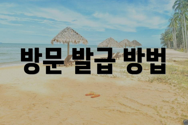 방문 발급 방법