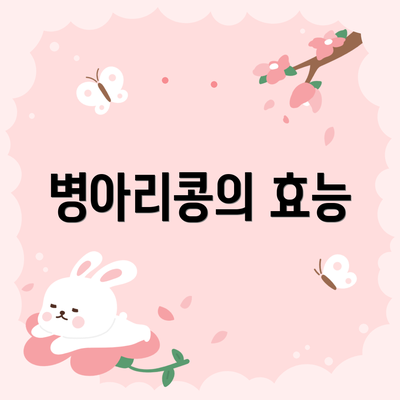 병아리콩의 효능
