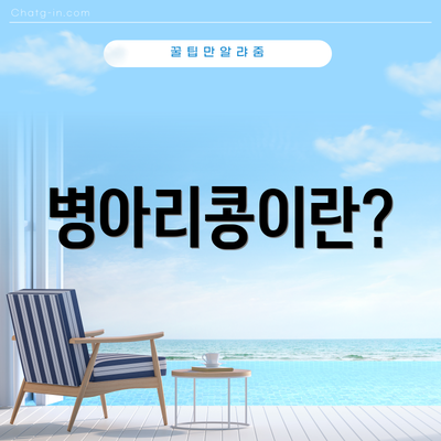 병아리콩이란?