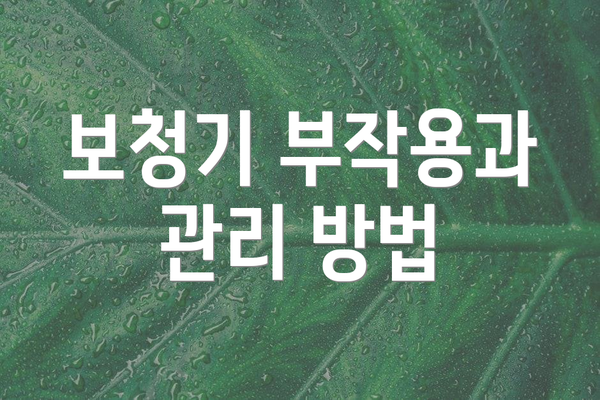 보청기 부작용과 관리 방법