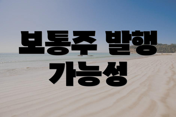 보통주 발행 가능성