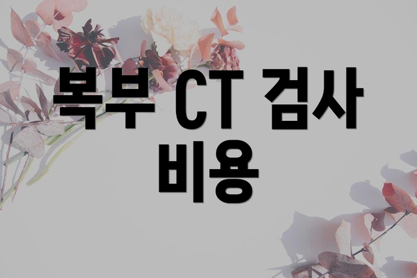 복부 CT 검사 비용