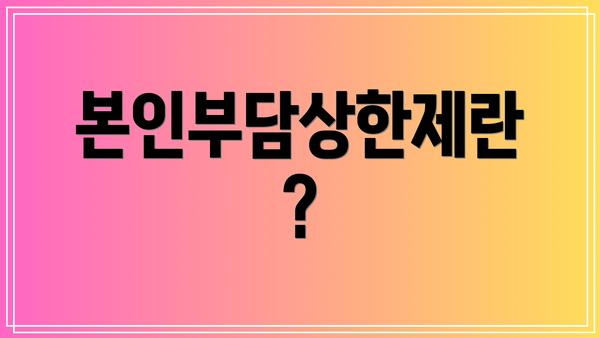 본인부담상한제란?