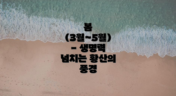 봄 (3월~5월) - 생명력 넘치는 황산의 풍경