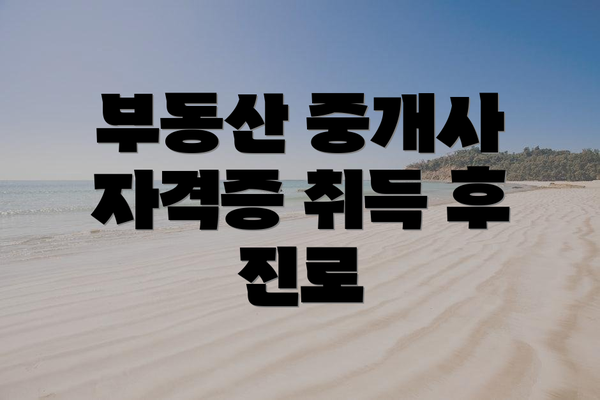부동산 중개사 자격증 취득 후 진로