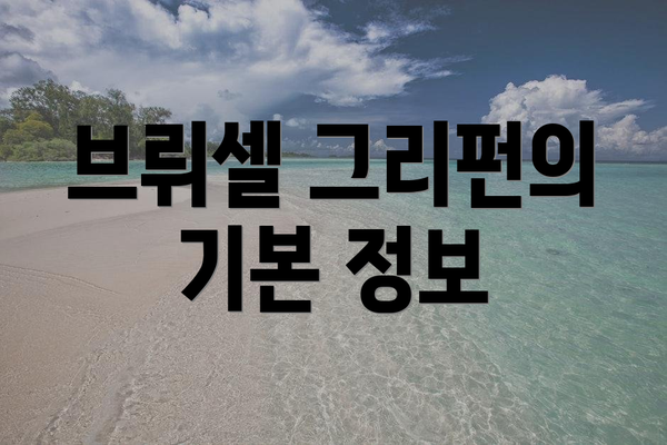 브뤼셀 그리펀의 기본 정보