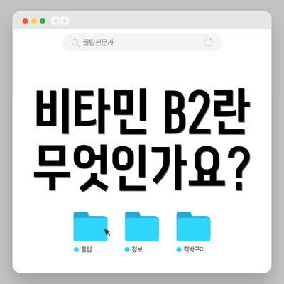 비타민 B2란 무엇인가요?