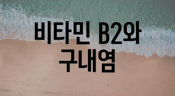 비타민 B2와 구내염