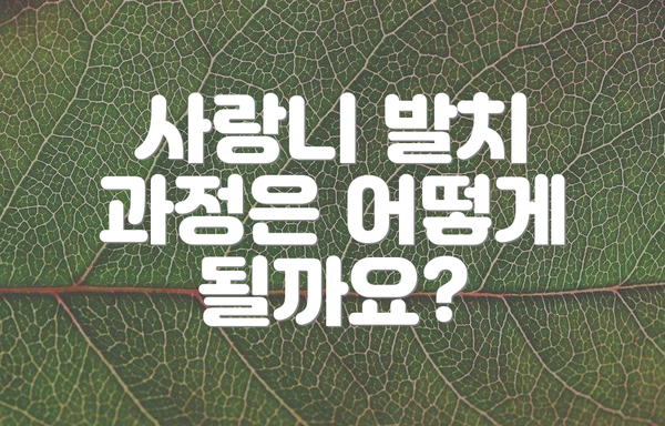 사랑니 발치 과정은 어떻게 될까요?