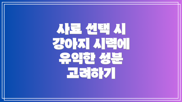 사료 선택 시 강아지 시력에 유익한 성분 고려하기