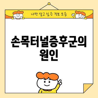 손목터널증후군의 원인