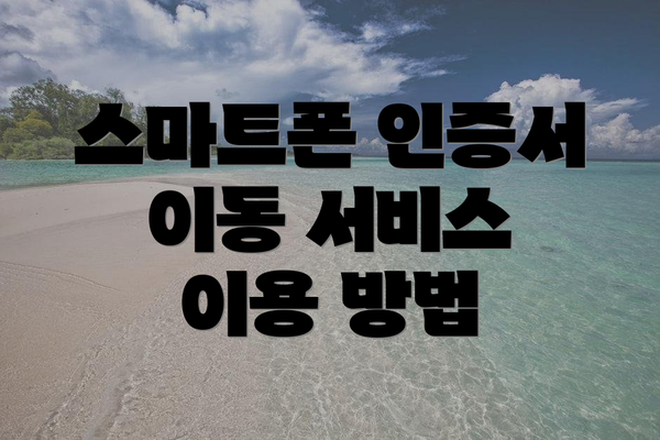 스마트폰 인증서 이동 서비스 관련 유용한 사이트 및 추가 정보