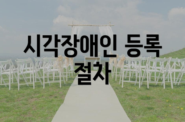 시각장애인 등록 절차