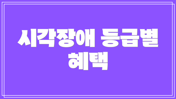 시각장애 등급별 혜택