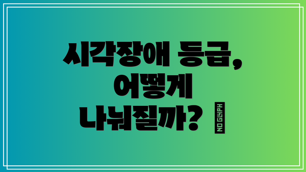 시각장애 등급, 어떻게 나눠질까? 🤔