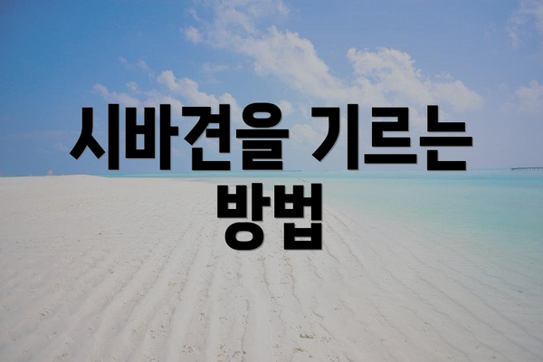 시바견을 기르는 방법