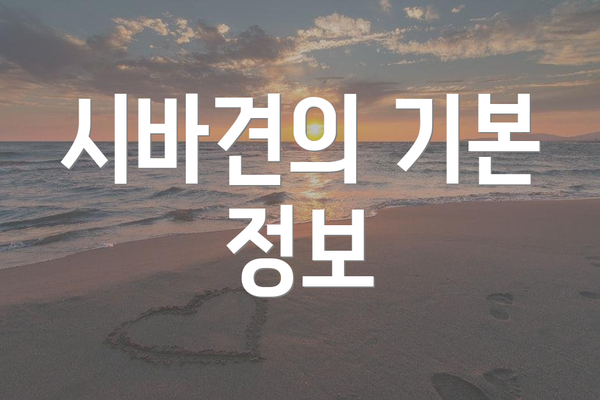 시바견의 기본 정보