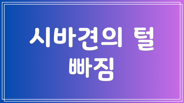 시바견의 털 빠짐