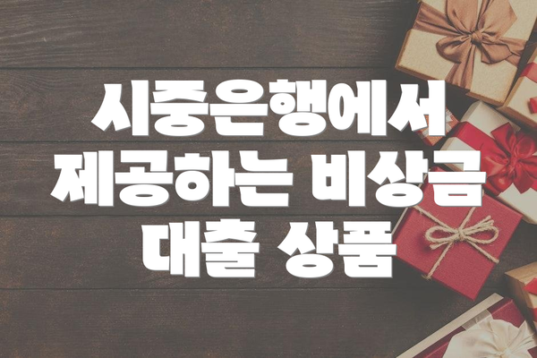 시중은행에서 제공하는 비상금 대출 상품