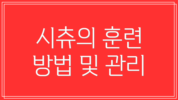 시츄의 훈련 방법 및 관리