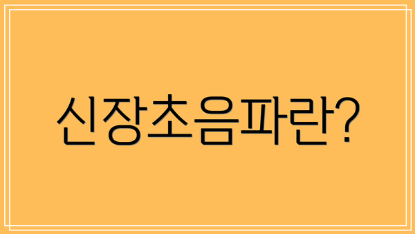 신장초음파란?