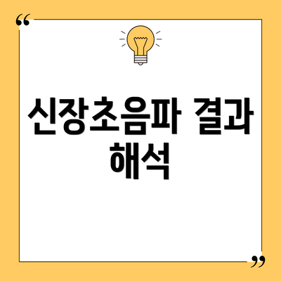신장초음파 결과 해석