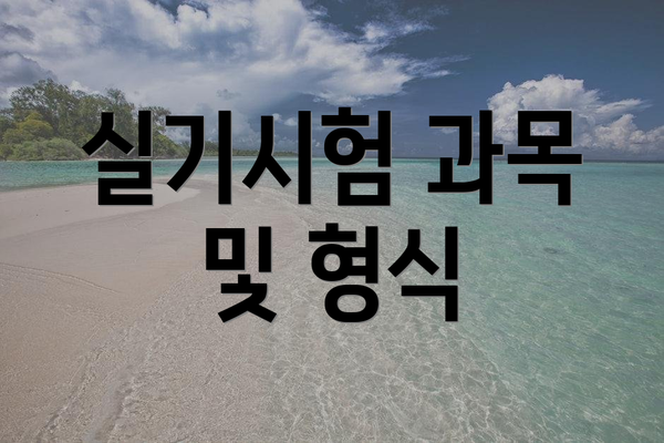 실기시험 과목 및 형식