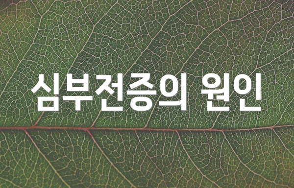 심부전증의 원인