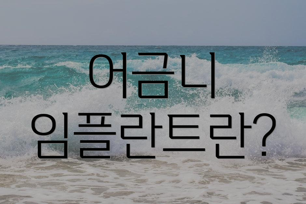 어금니 임플란트란?