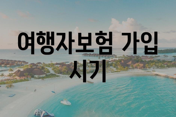 여행자보험 가입 시기