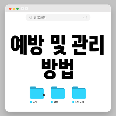 예방 및 관리 방법