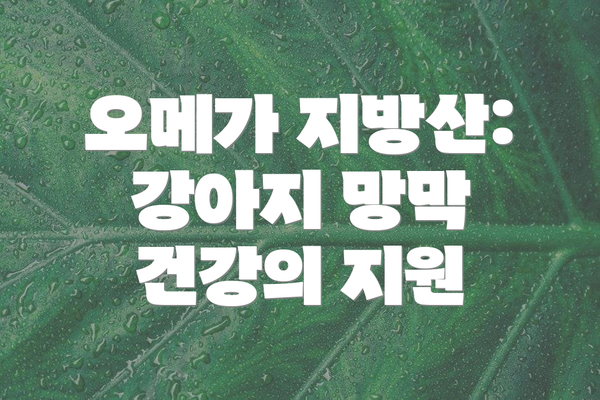 오메가 지방산: 강아지 망막 건강의 지원