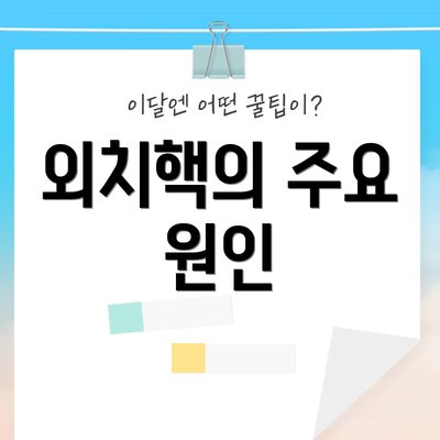 외치핵의 주요 원인