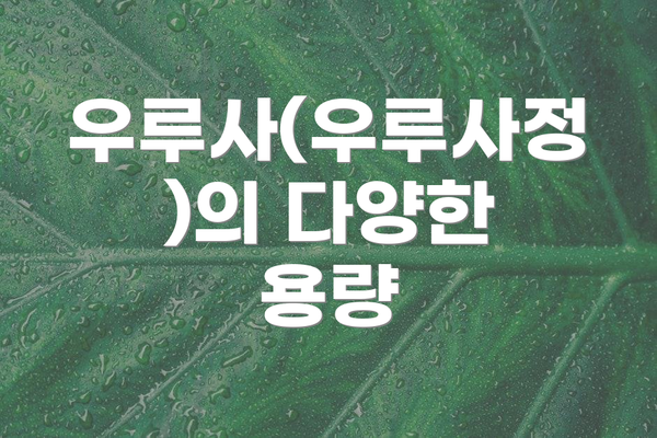 우루사(우루사정)의 다양한 용량