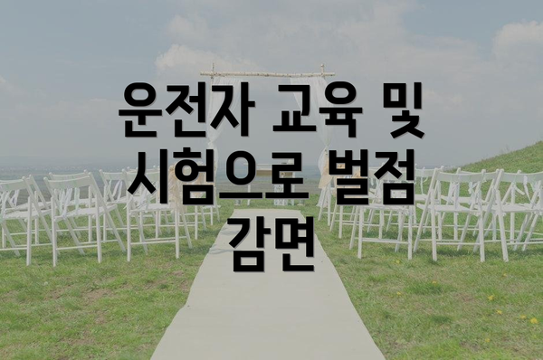 운전자 교육 및 시험으로 벌점 감면